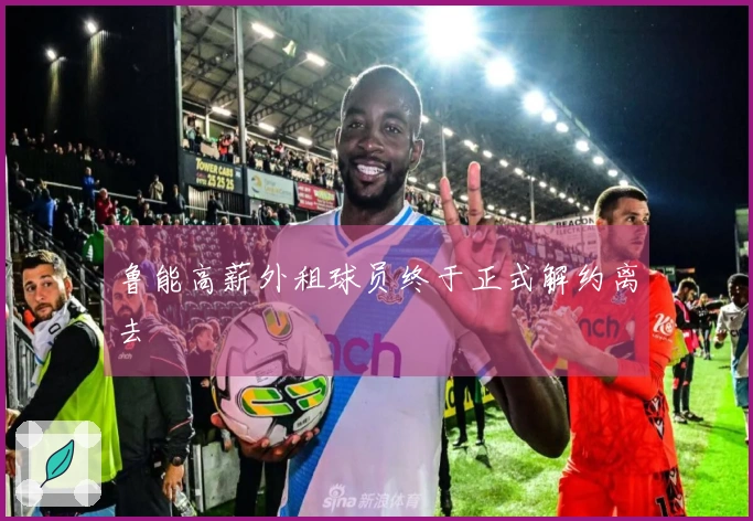 鲁能高薪外租球员终于正式解约离去